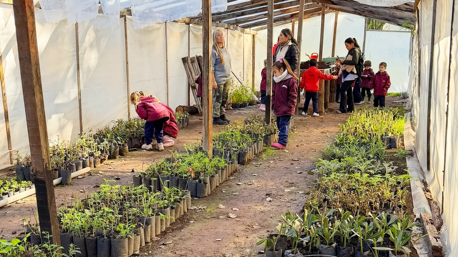Visita. El Jardín Danés en el vivero