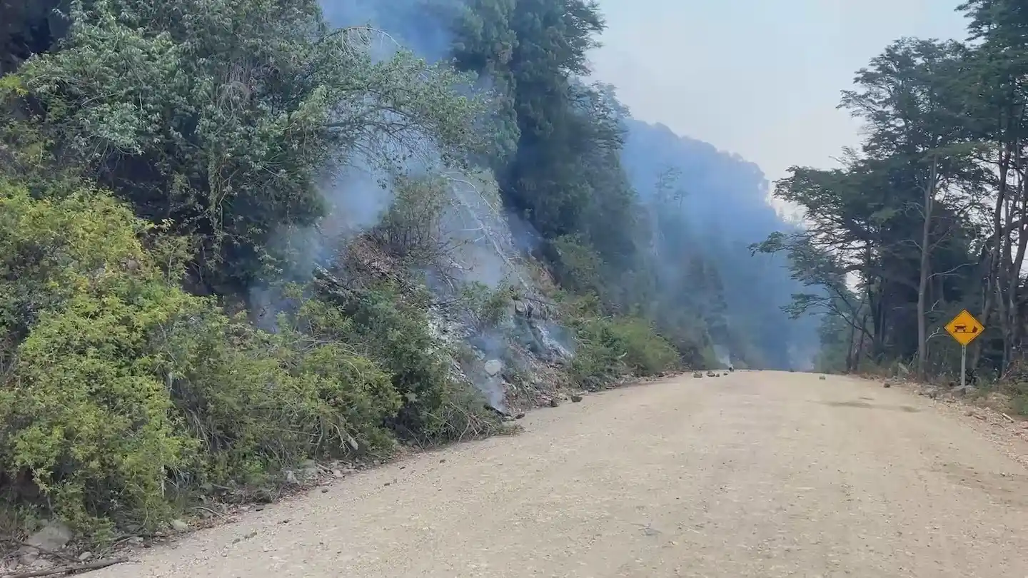 El Comité de Intervención asumirá de manera transitoria la totalidad de las funciones correspondientes a la intendencia del parque.