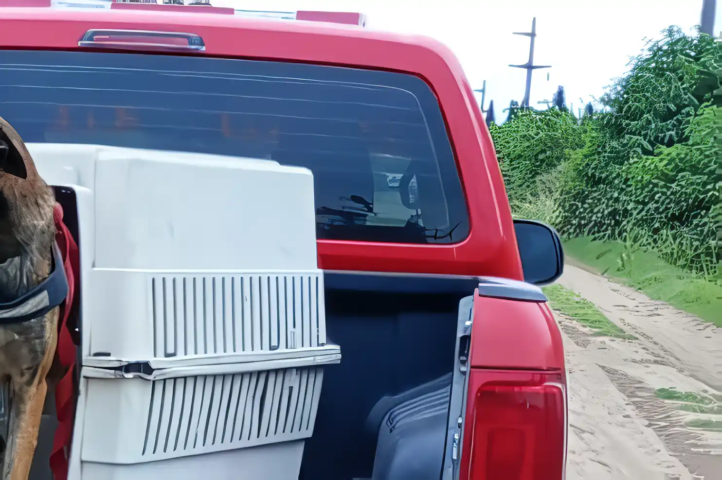 El camino rural donde rastrillaron para hallar a la mujer desaparecida.
