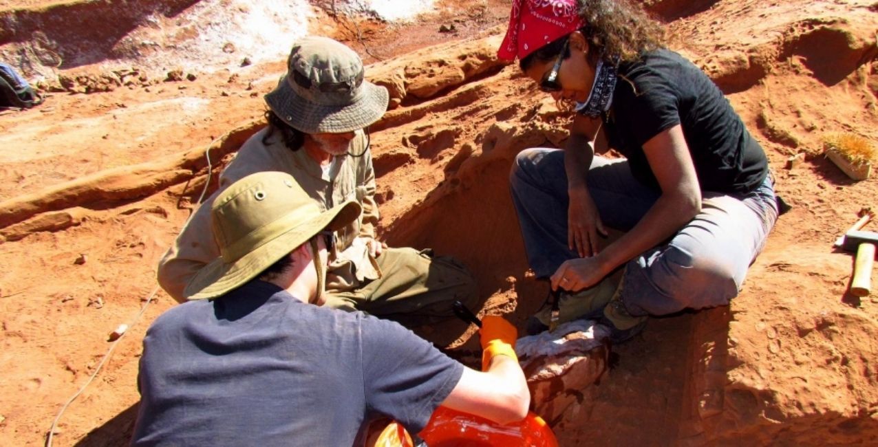 Hallaron por primera vez restos de un dinosaurio carnívoro en Salta