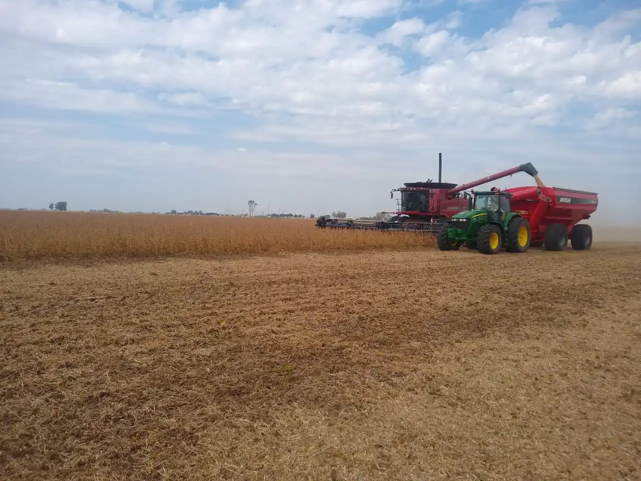 La siembra de soja avanzó con la incorporación de 1,2 millones de hectáreas