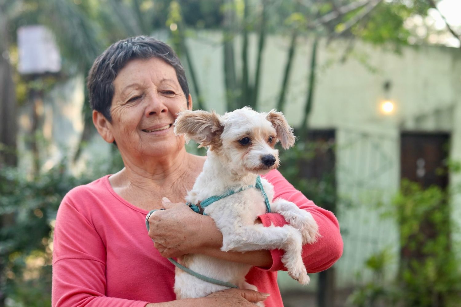 Operativo especial de castración, vacunación y desparasitación de animales en el barrio Nueva Pompeya