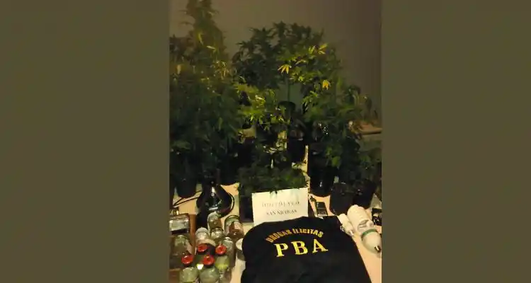 Policías sampedrinos investigaron a la banda que organizaba fiestas electrónicas para vender drogas
