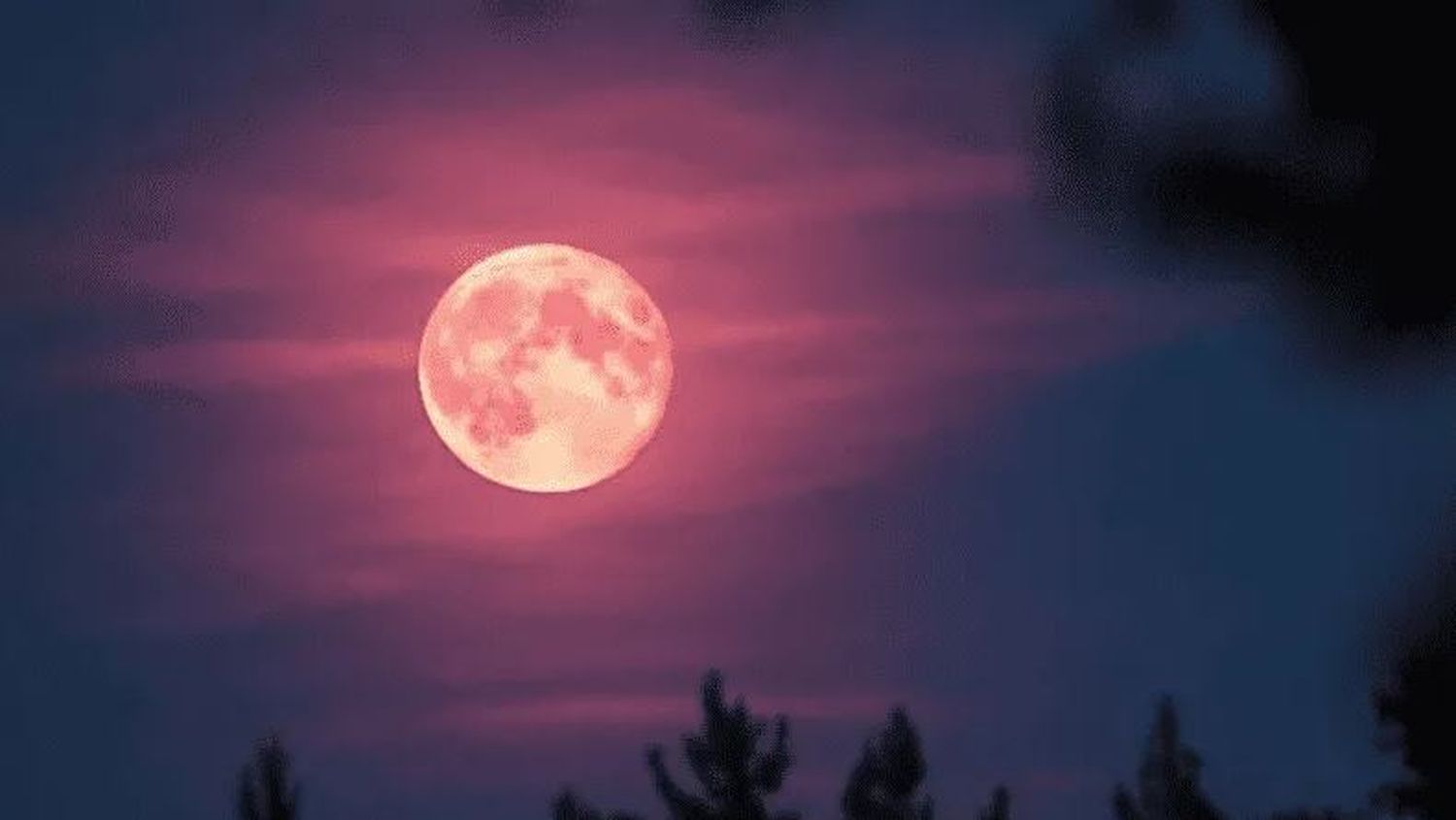 Luna rosa en abril: cuándo se podrá ver este fenómeno