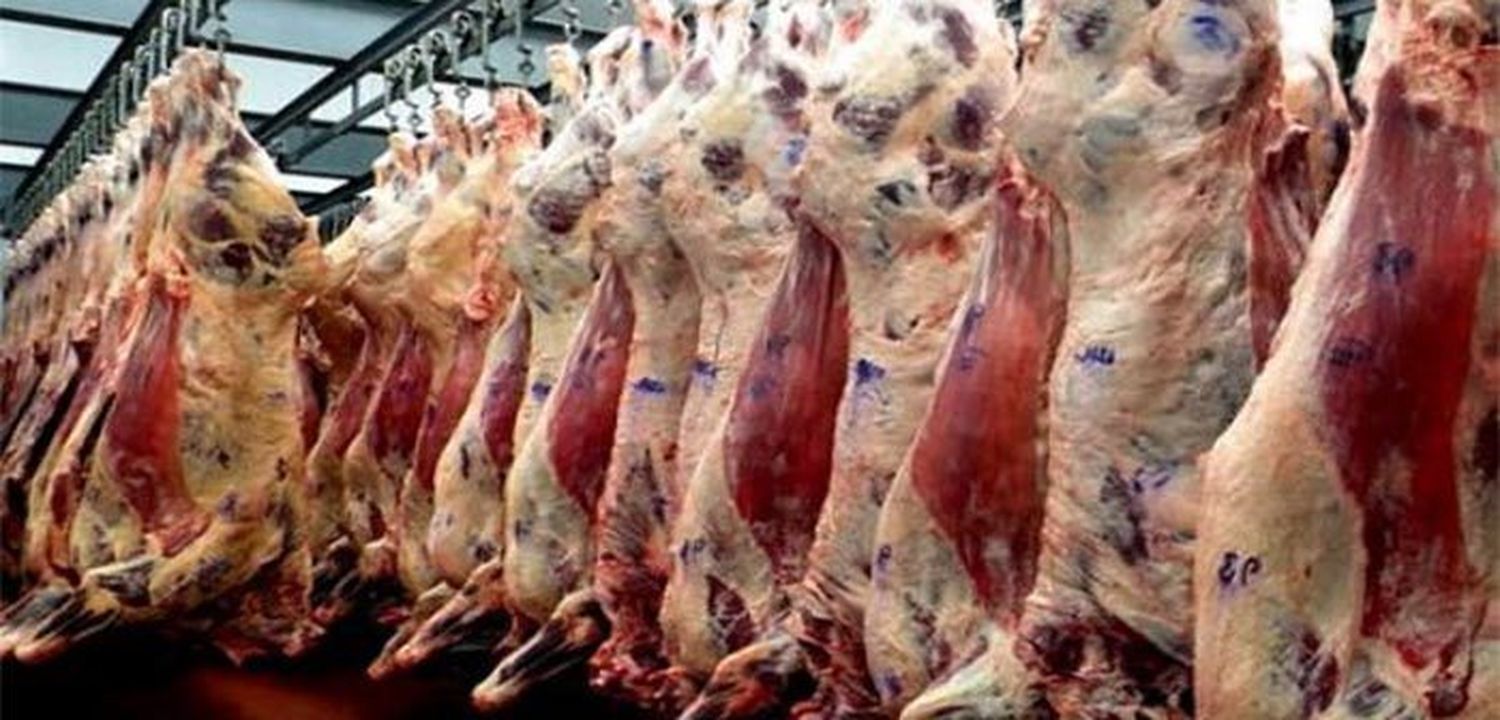 Las exportaciones de carne crecieron más del 40%: el papel de China