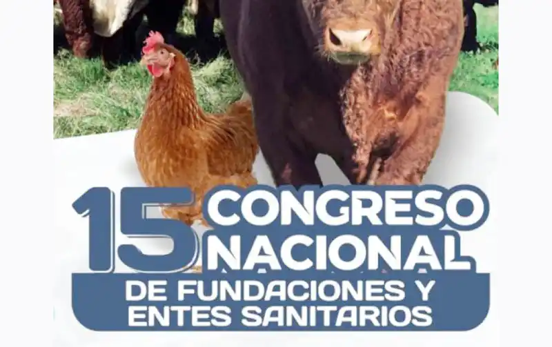 Gualeguaychú será sede del congreso de fundaciones y entes sanitarios