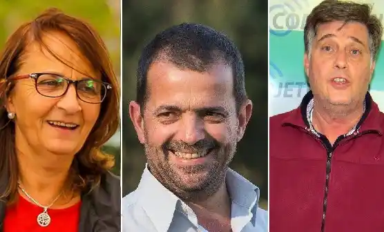 Se derogó la Ley de la Madera: ¿cómo votaron los diputados de Gualeguaychú? 