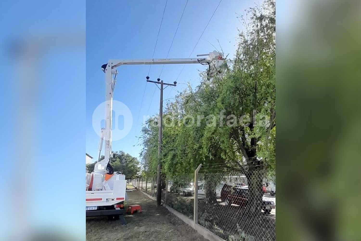 Precaución: comienzan importantes trabajos para el despeje de líneas aéreas de media tensión