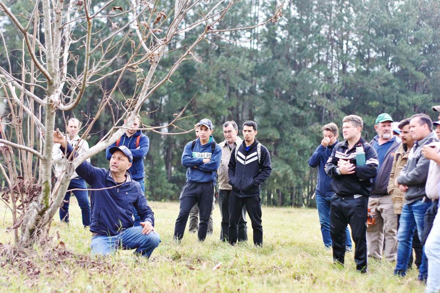 Comenzó la capacitación laboral en poda e injertos de citrus y nuez Pecán