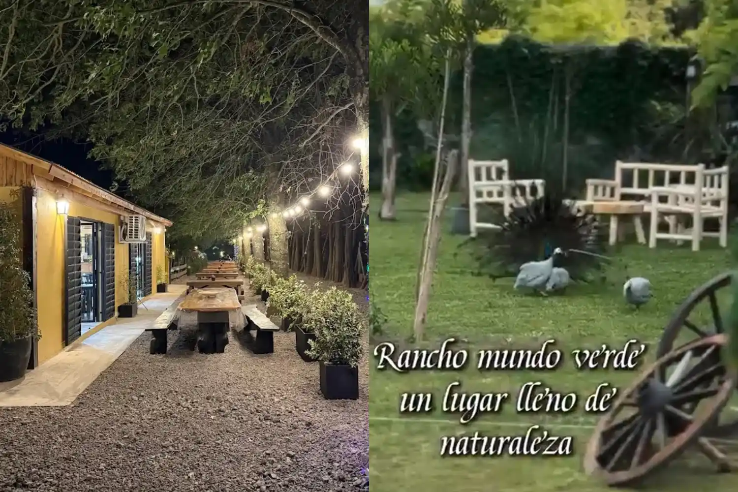 rancho mundo verde