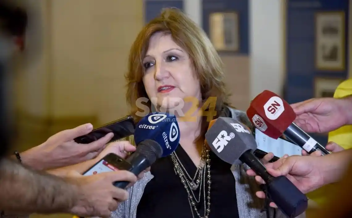 Legisladores de la UCR afirman que “Perotti no tiene plan de educación”