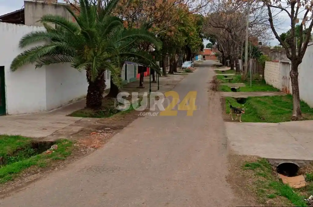 En Rosario ni los perros se salvan: una mascota herida en una balacera 