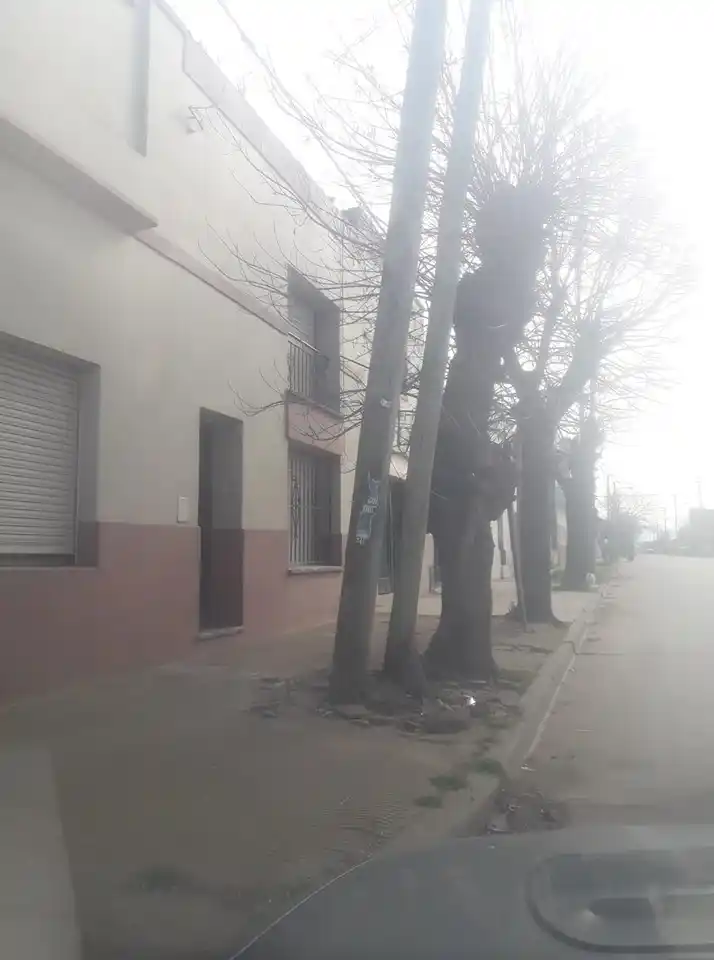 Postes a punto de caer y veredas rotas