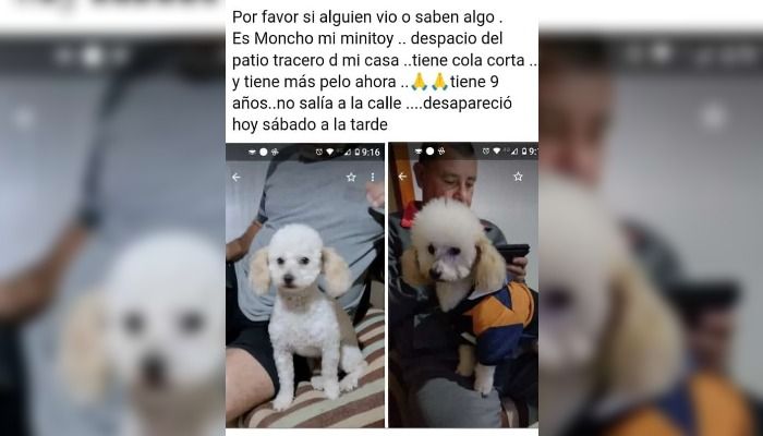 Buscan a Moncho