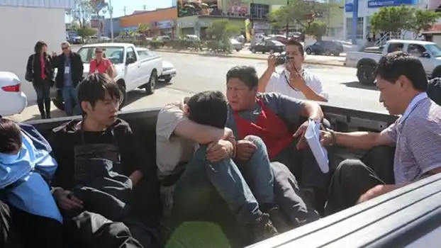 Video: Clausuran un restaurante de comida china por cocinar perros