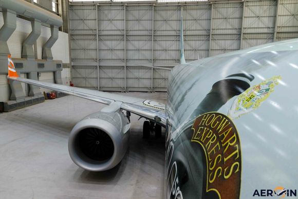 Un 737 MAX de GOL estrena livery especial de Harry Potter