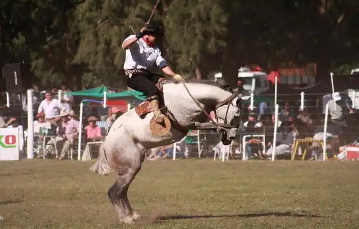 Festejos por el 25 de Mayo en la Provincia 