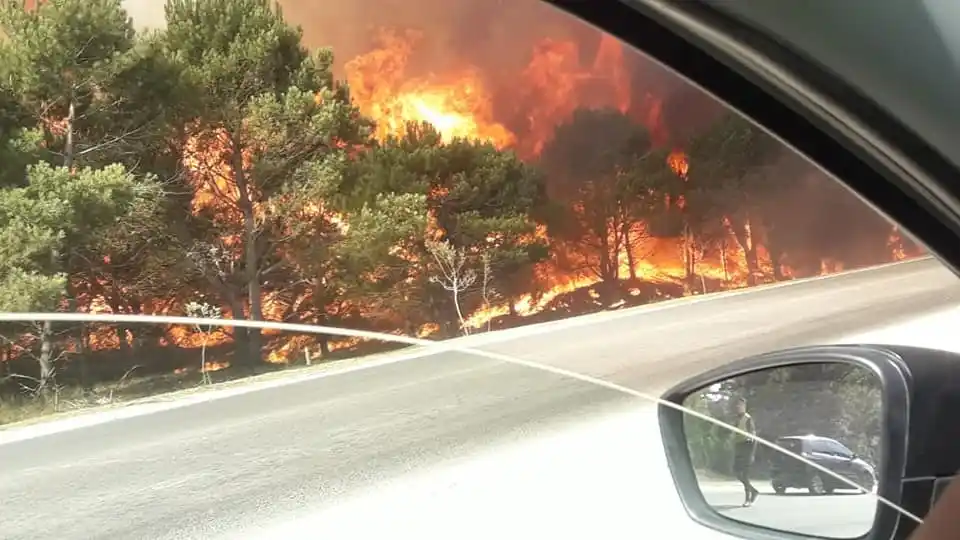Ardió Gesell: Tras controlar el fuego, llegan las lluvias a la madrugada