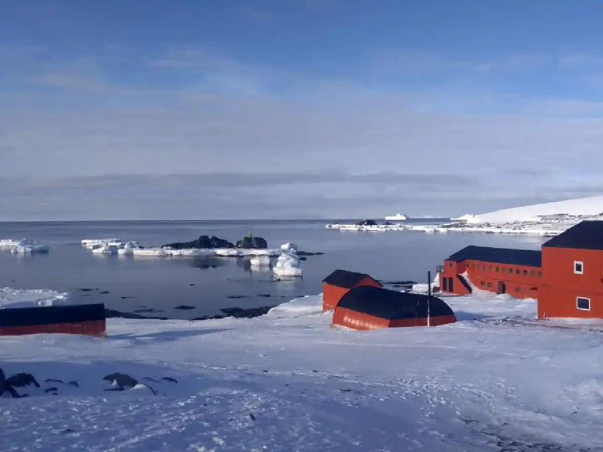 Fuerte terremoto de 5.1 grados sacudió a la Antártida: las bases se pusieron en alerta