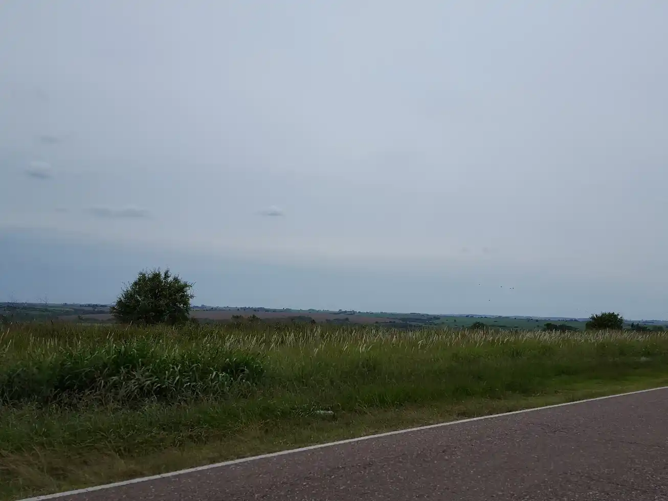 Las precipitaciones se producirían entre el domingo y el lunes