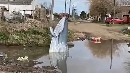La imagen del animal recorrió distintos puntos de la ciudad.