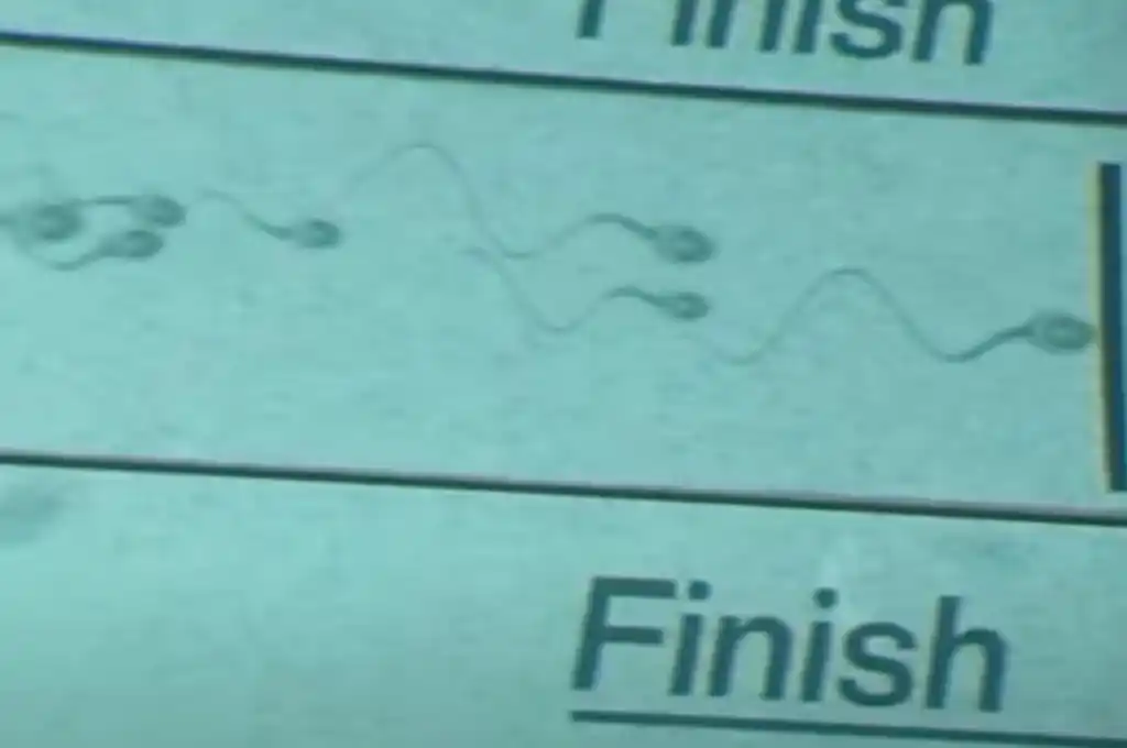 Captura de pantalla tomada del video.