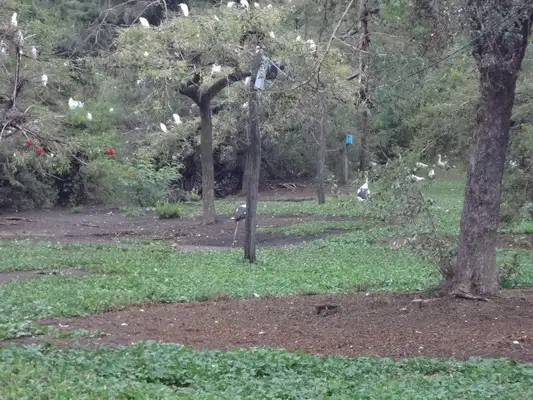 Comienzan los circuitos de educación ambiental