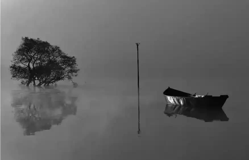 Difundieron las obras premiadas del 5º Salón Anual de Fotografía de Entre Ríos