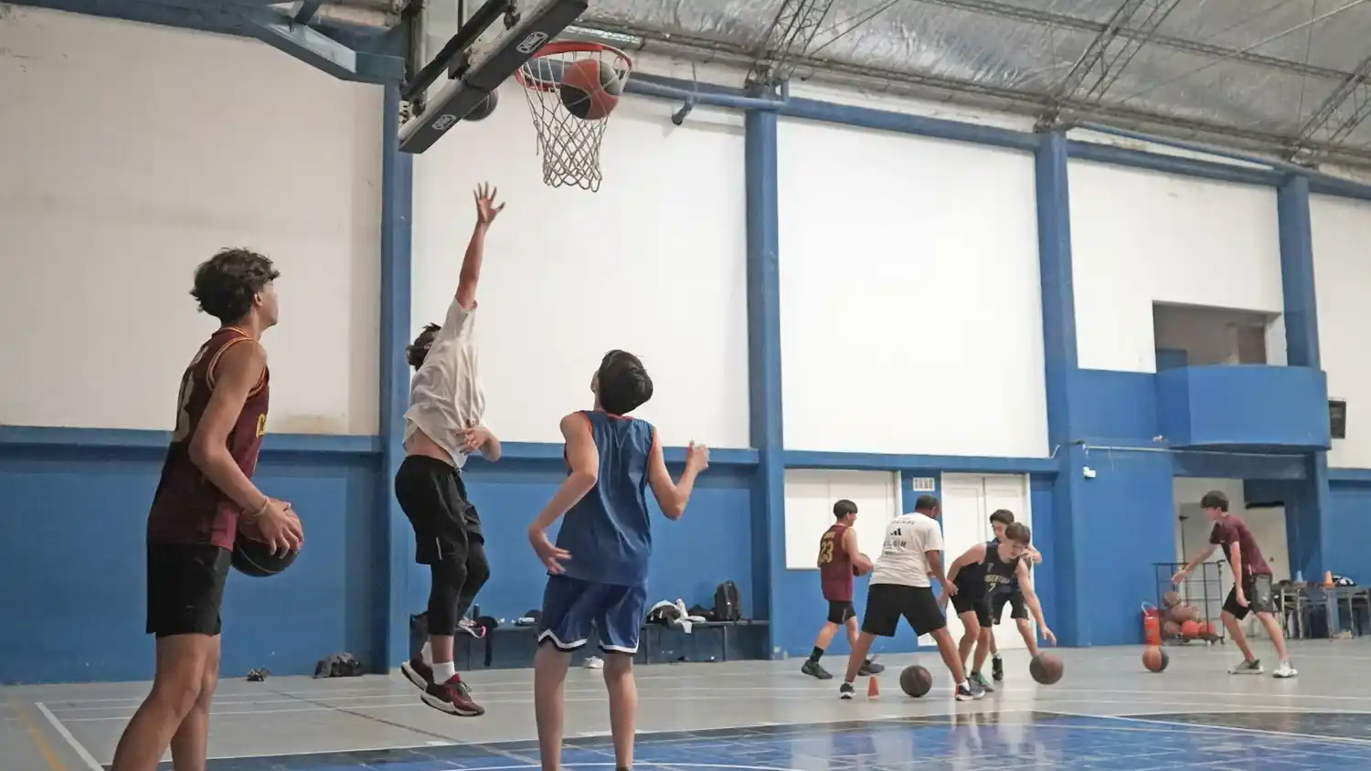 Fernando Perales - Básquet