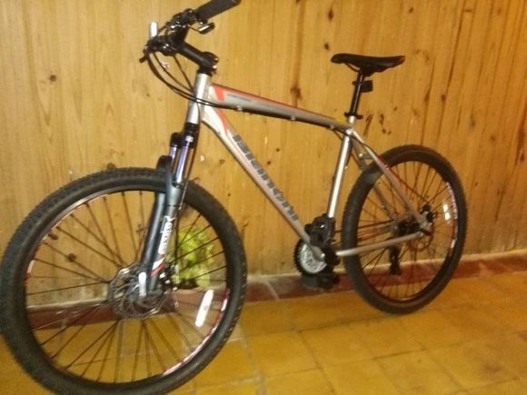 Delincuentes robaron una bicicleta en Manuel Iglesias y Casella