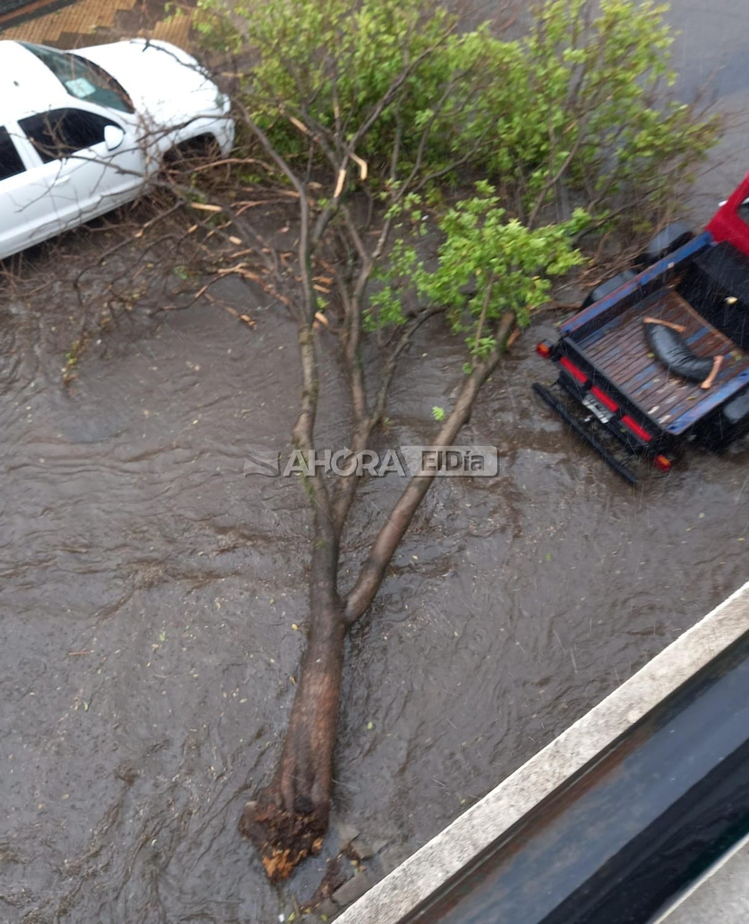 destrozos tormenta - 1