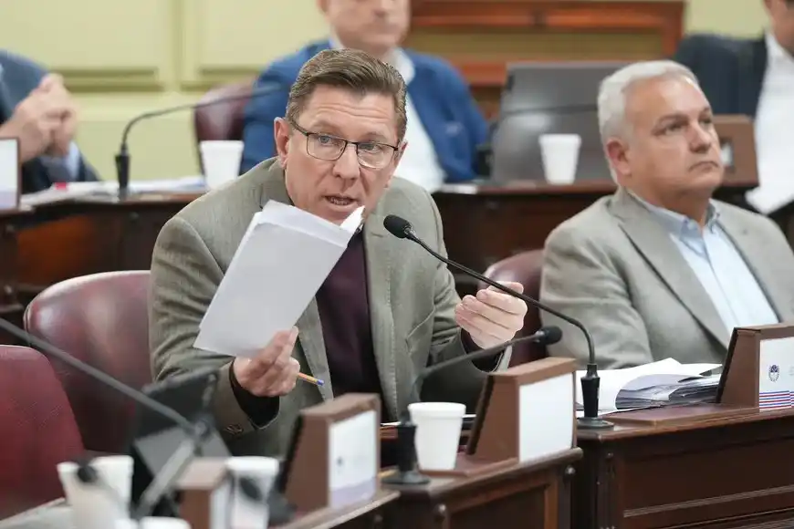 Convención Reformadora