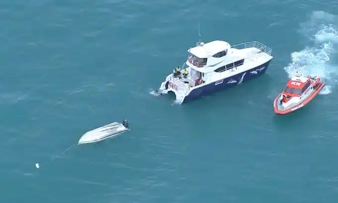 Nueva Zelanda: cinco turistas murieron en un naufragio tras chocar con una ballena