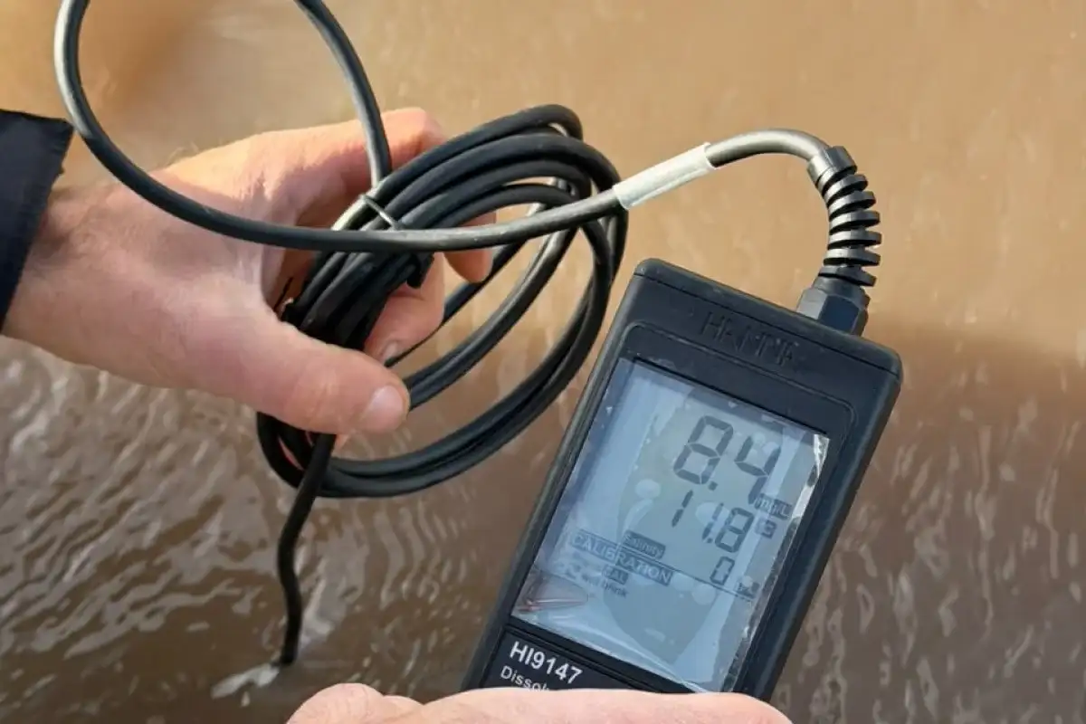 Realizaron un muestro para evaluar la calidad del agua del río Gualeguaychú