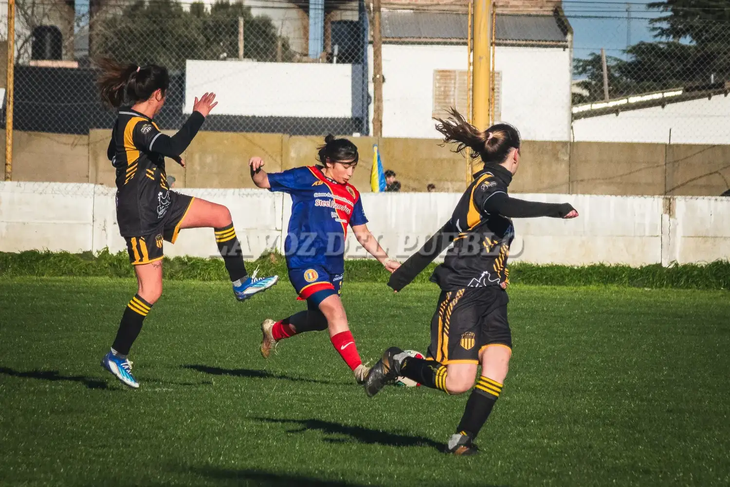 femenino cole-barra - 7
