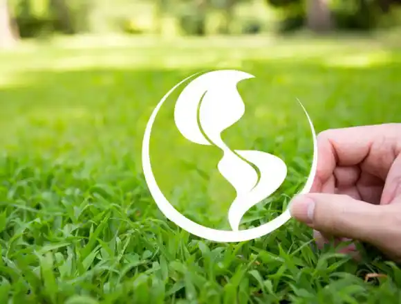 Premios Verdes 2022: abiertas inscripciones