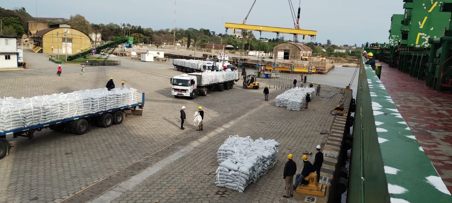 Cargan 10 mil toneladas de porotos negros a Cuba en el Puerto, tras la visita de una misión comercial