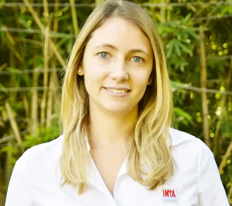 “La mejora en las condiciones de los cultivos puede compensar el daño de insectos en hojas”