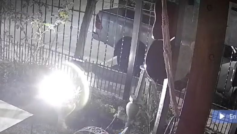 El robo frente al local gastronómico fue el jueves último y aún no apareció el vehículo. Captura de video