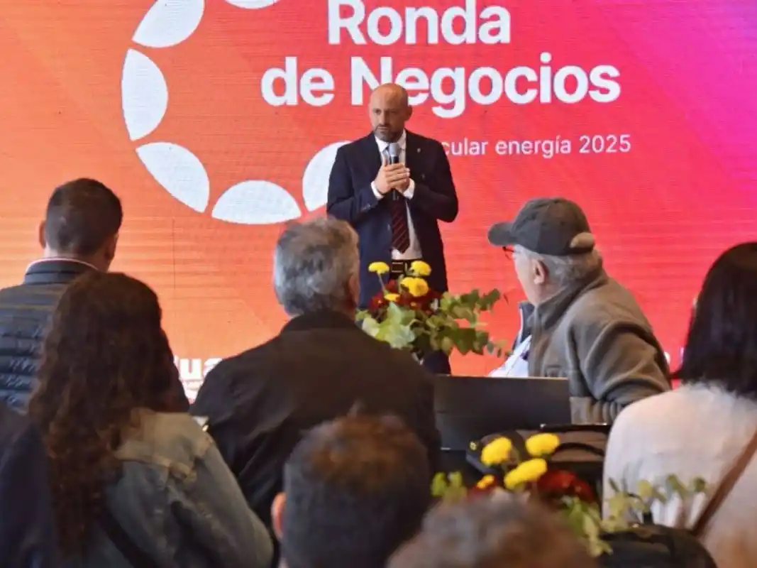 Puccini subrayó la relevancia del sistema de reuniones organizadas dentro de Vincular Energía 2025.