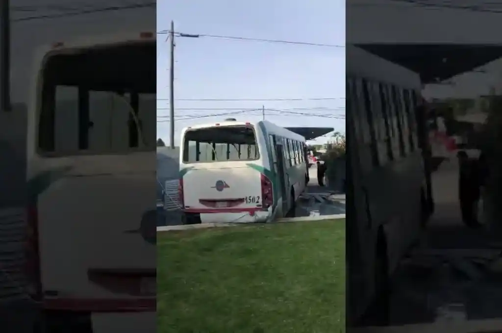 Increíble: “estacionó” el colectivo en el patio de una casa