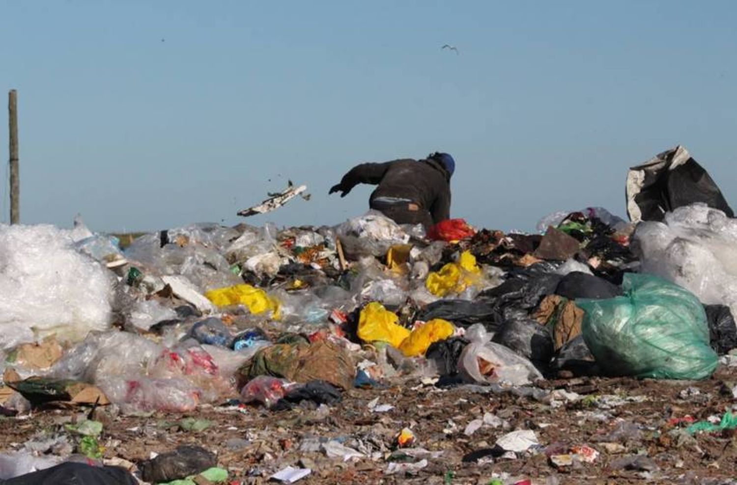 Licitación del basural: aprueban la Jornada de Trabajo "Mar del Plata recicla"