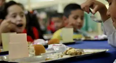 Reforzar la nutrición para mejorar los aprendizajes