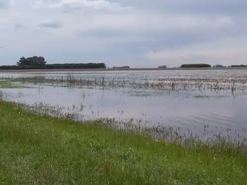 Por lluvias, Santa Fe perdió 100 mil ha