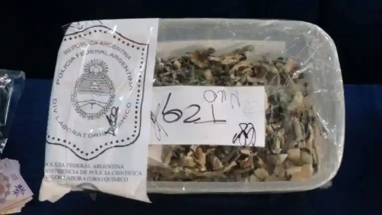 Descubren drogas hechas con hongos, plantas y veneno de rana