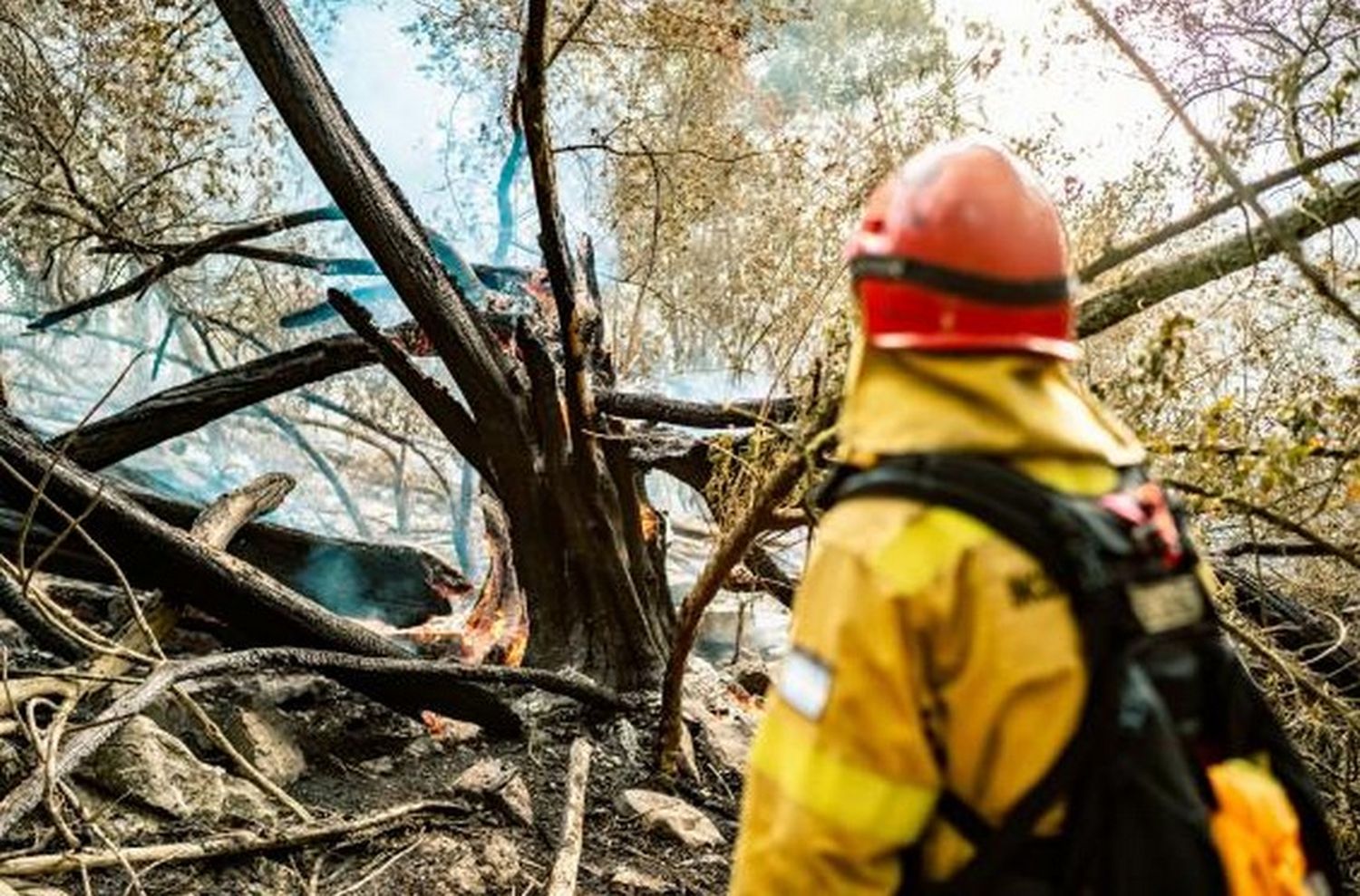 Alerta por alto riesgo de incendios forestales