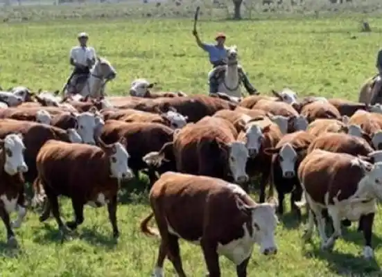 Se constituyó la Mesa Argentina de Carne Sustentable