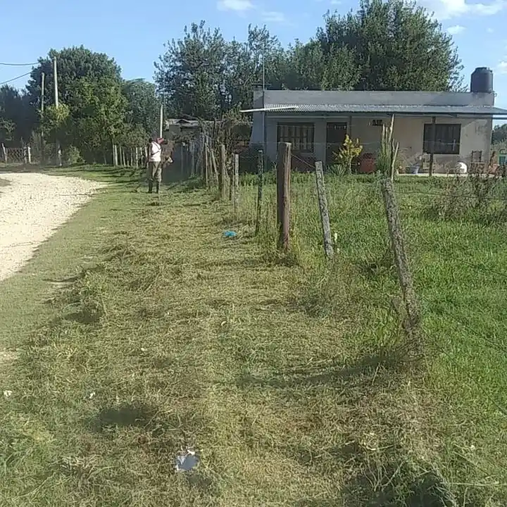 Octavo Distrito - Punta del Monte