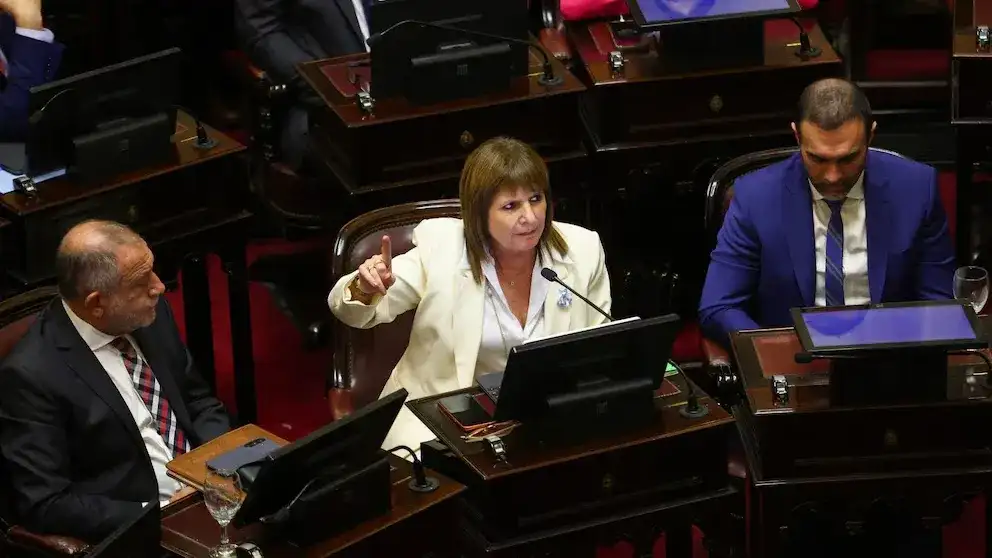 Ley de propiedad privada: sin la venta del país a extranjeros, comenzó la sesión en el Senado