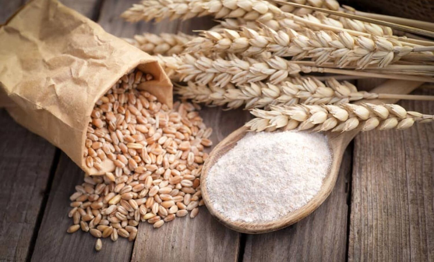 Gluten: historia, realidad y por qué no es el enemigo de todos